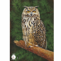 Blason KRUEGER Hibou Grand Duc