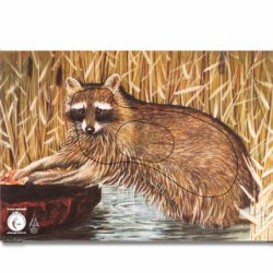 Blason KRUEGER Raton Laveur