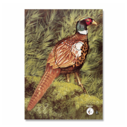 Blason KRUEGER Faisan