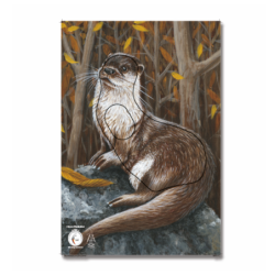 Blason KRUEGER Loutres