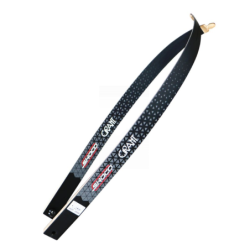 Branches SHOCQ Grant