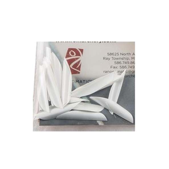 blanc 10 Amazone Archerie Plumes SPIN WING Standard 1.75"