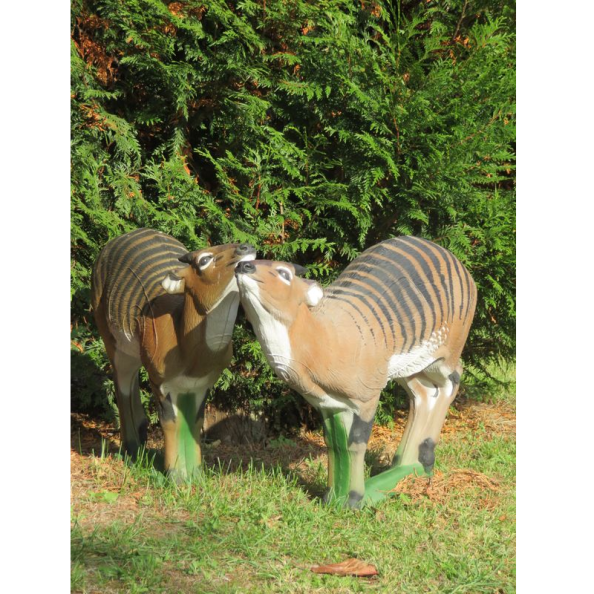 CEPHALOPHE ZEBRE Amazone Archerie Cible 3D NATURFOAM – Cephalophe Zebre